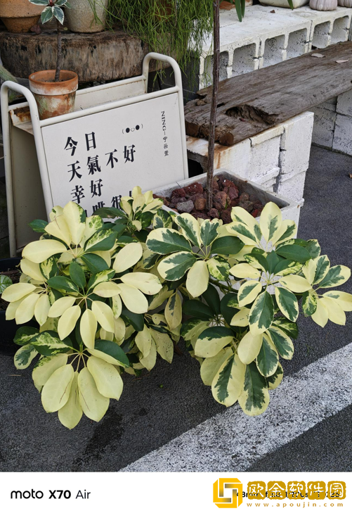 轻薄手感拉满+AI加持