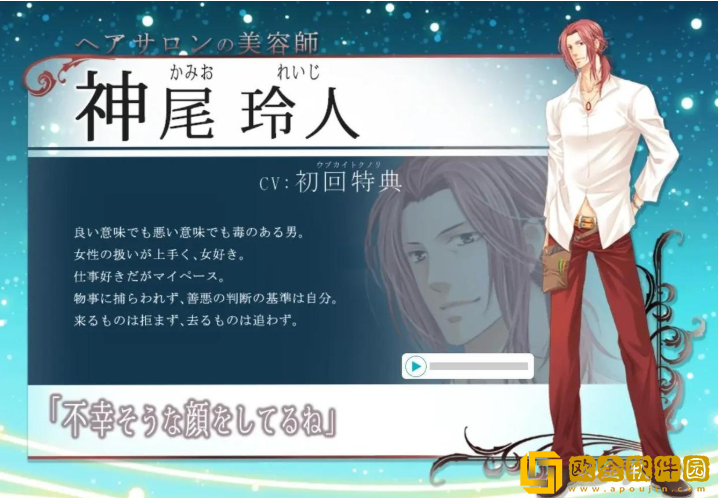 银之冠碧之泪汉化版下载