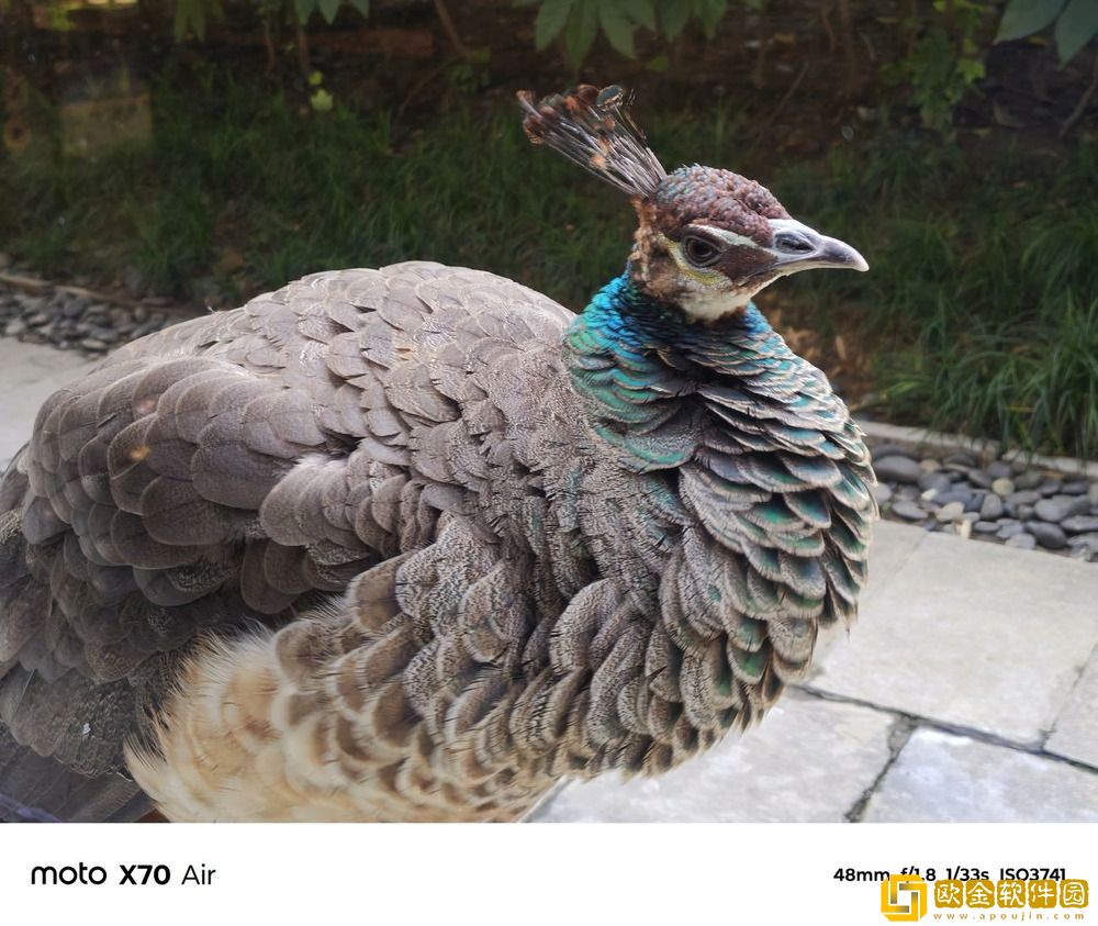 轻薄手感拉满+AI加持