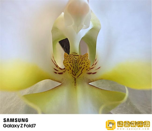 2亿像素超清影像领衔