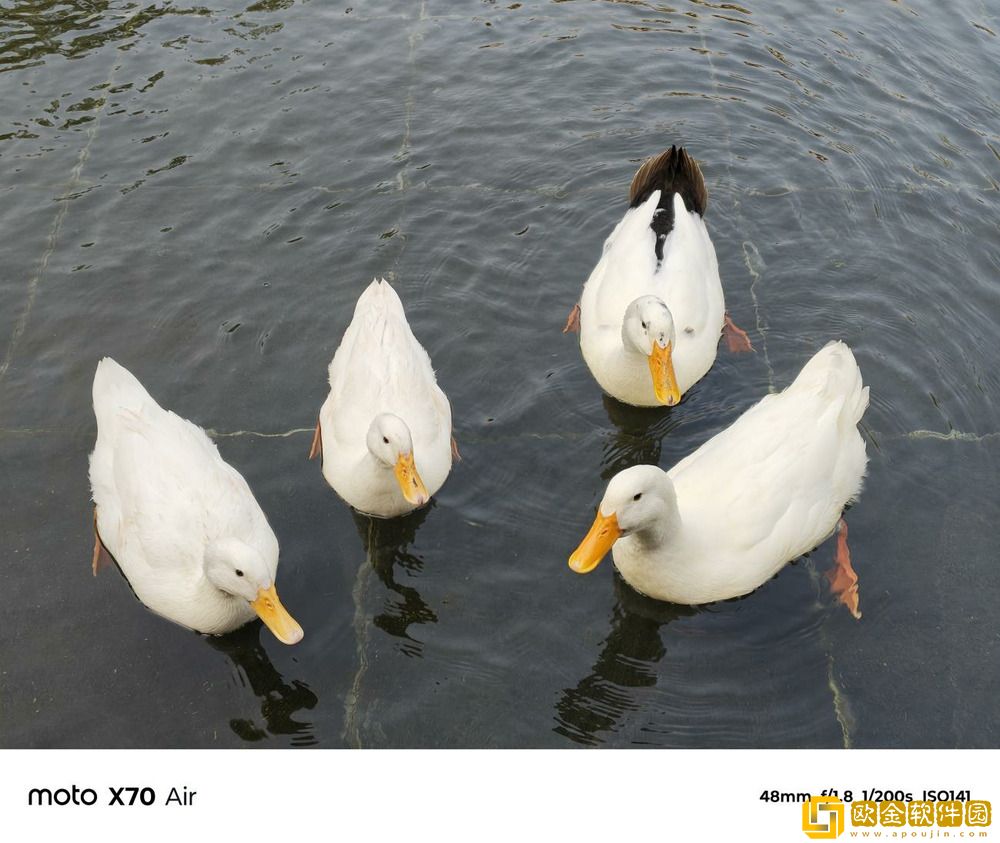 轻薄手感拉满+AI加持