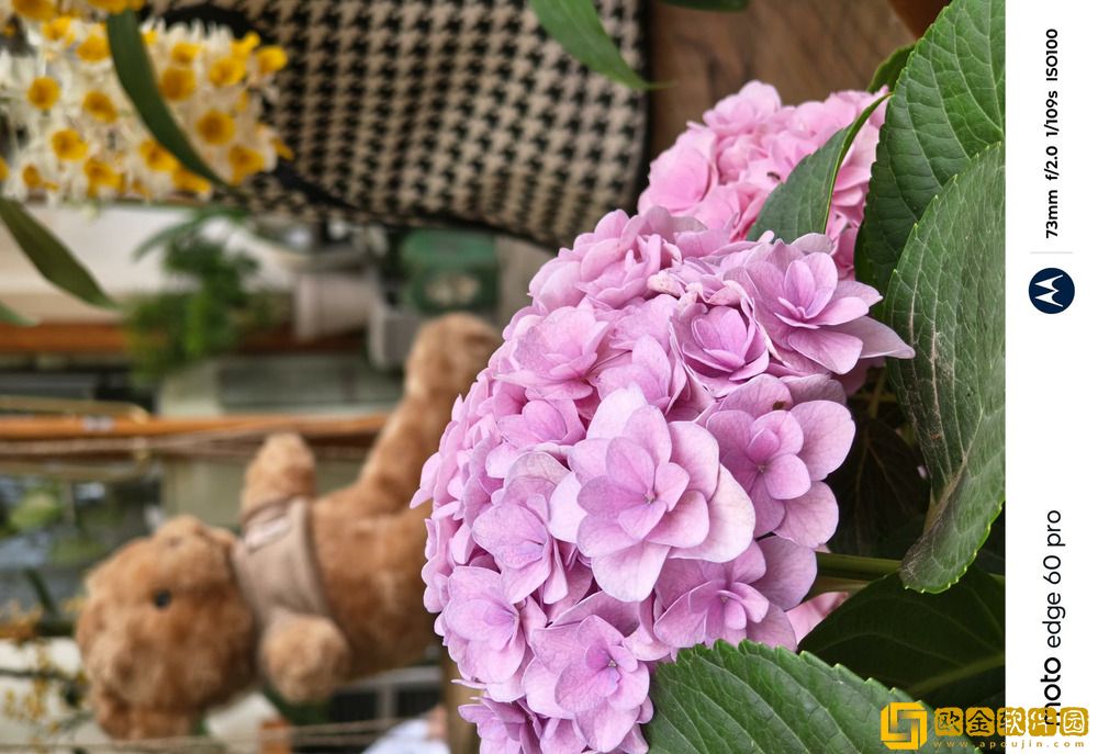 潮流个性与配置均在线