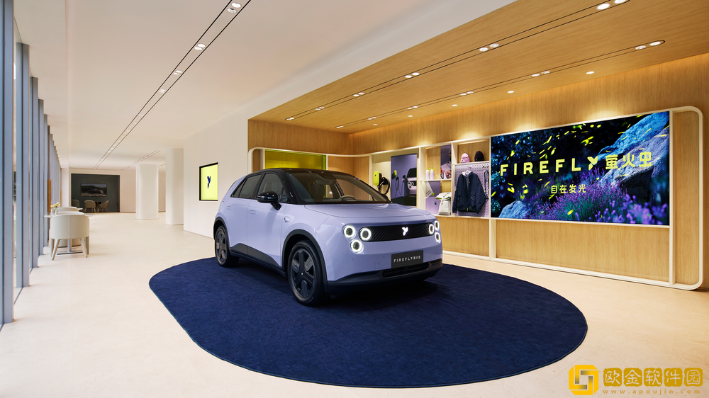 蔚来全新品*firefly萤火虫首款同名车型正式上市