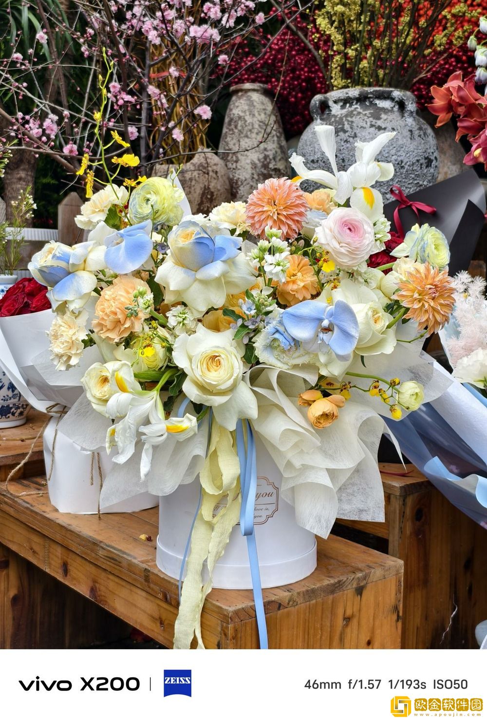 Pro级别的影像小灭霸