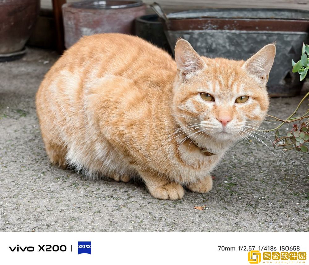 Pro级别的影像小灭霸