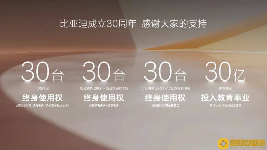 比亚迪成立30周年之际
