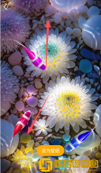 锦鲤金鱼壁纸最新版