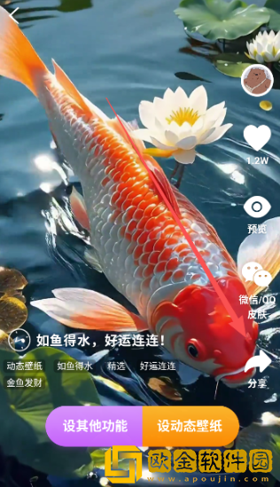 锦鲤金鱼壁纸最新版