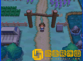 口袋妖怪黑白2手机版下载中文版(口袋妖怪黑2)