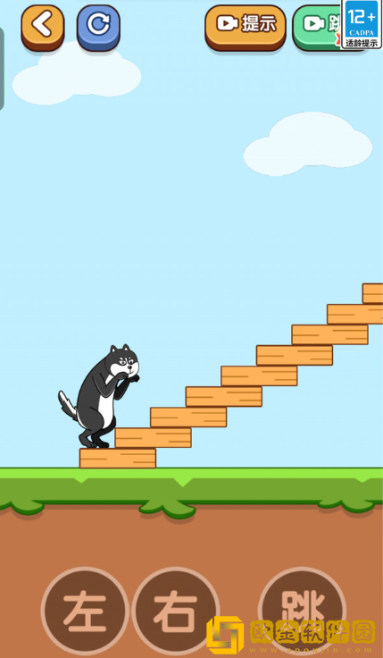 烧脑研究所最新版下载