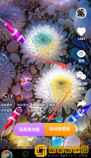 锦鲤金鱼壁纸最新版