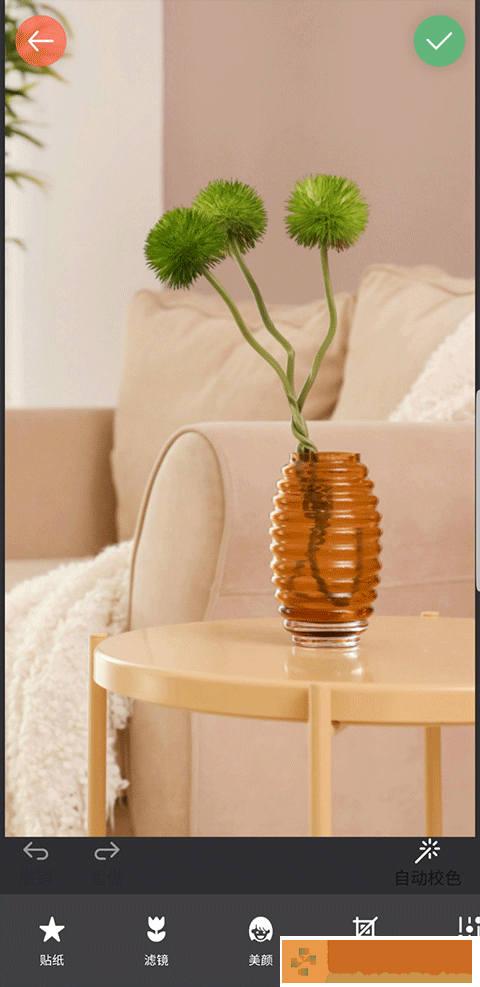 镜像相机软件下载安装手机版