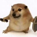 我的刀盾桌宠app下载