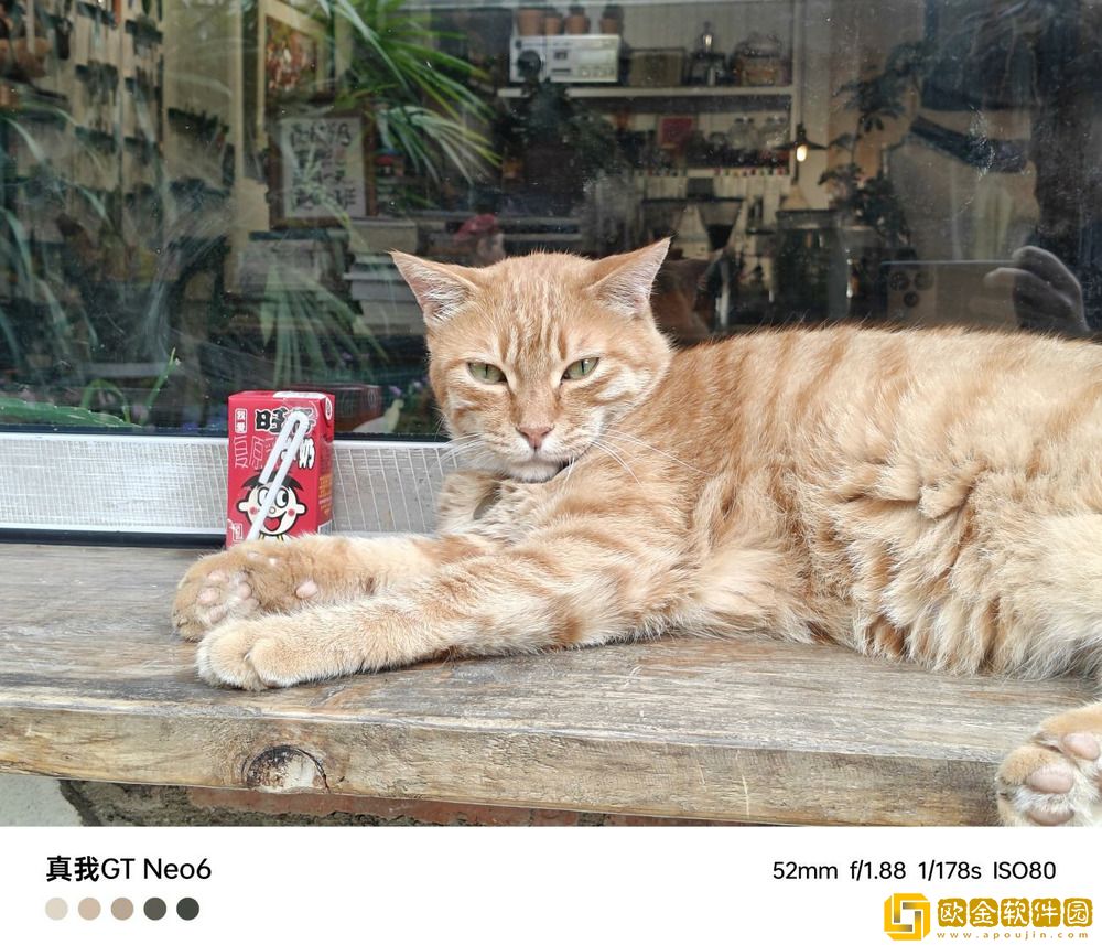 中端性能新标杆