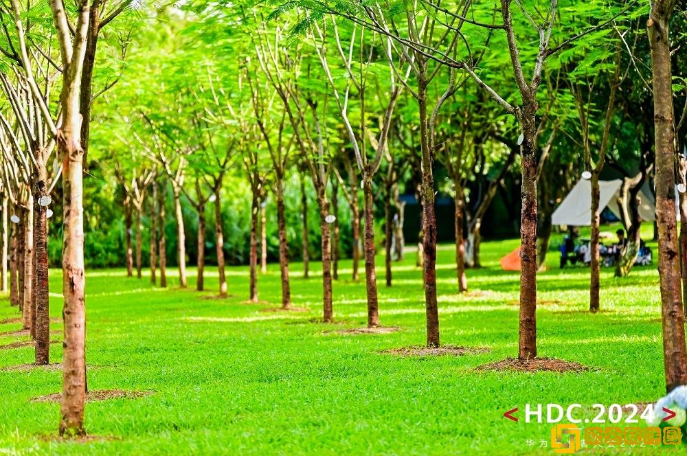 加入鸿蒙正当时