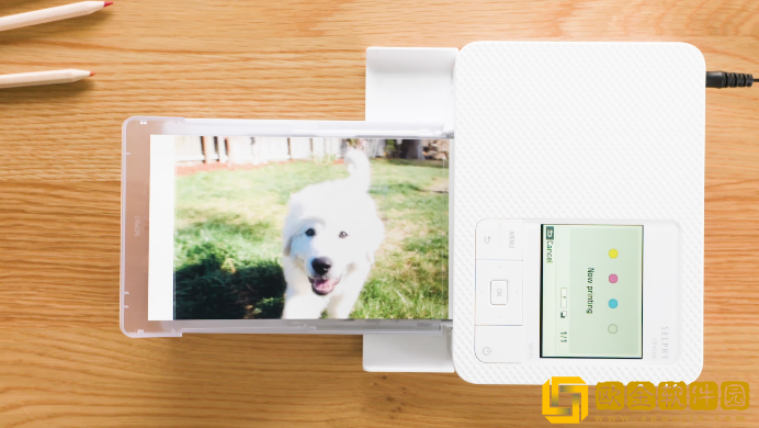 佳能小型照片打印机炫飞SELPHY系列诞生20周年