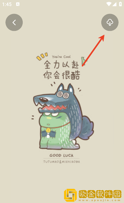 口袋壁纸安卓版