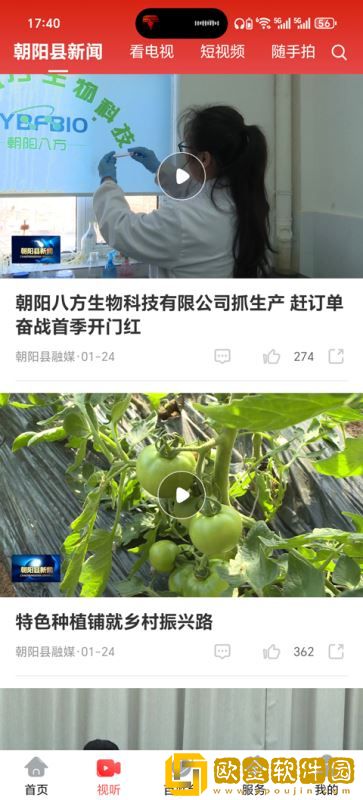 掌上朝阳app最新版本下载安装