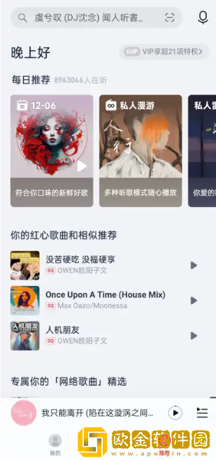 大蛇丸音乐安卓版下载