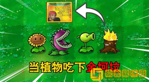 植物大战僵尸金坷垃版手游