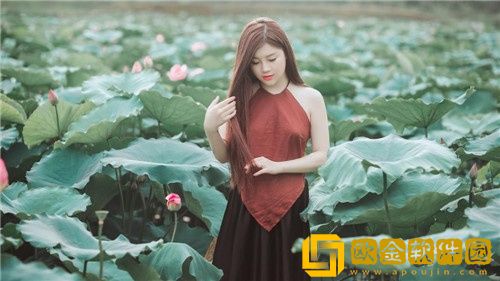 波波美女视频app