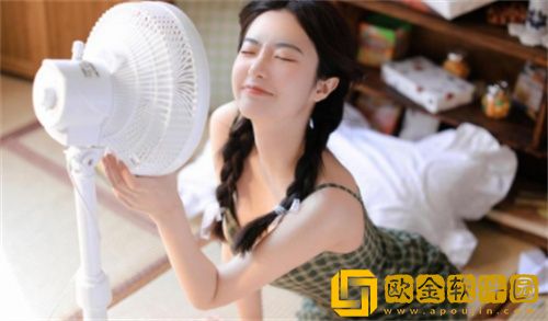 冬瓜视频破解版下载