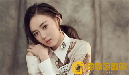 猫咪资源部vip**版