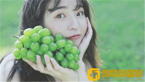 免费的美女直播软件