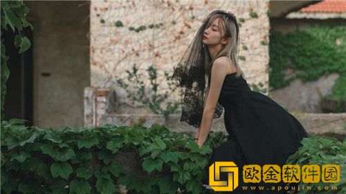 桔子视频vip 免费