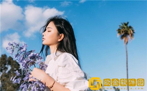 蓝狐影视tv版永久免费版