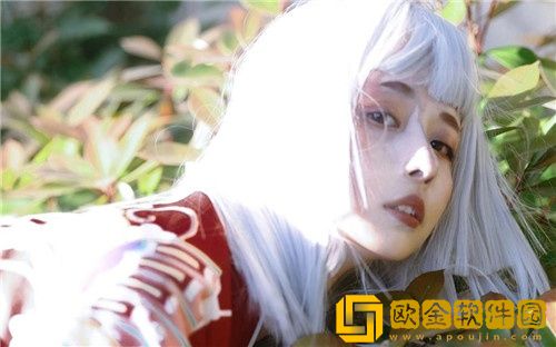 快狐记录世界美国版