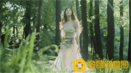 晚上必看十大应用