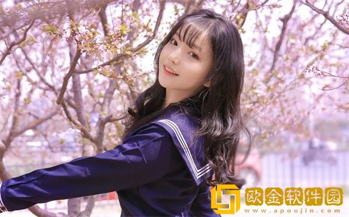 小狐狸聚合直播盒子