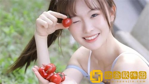 月光宝盒最新版本2024