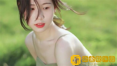 pfd泡芙**版最新版