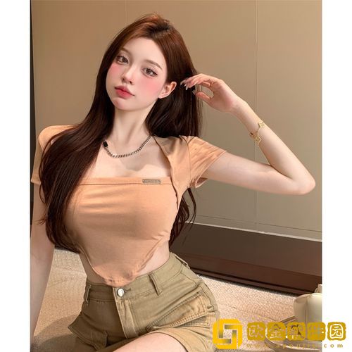 鲍鱼tv**
版下载