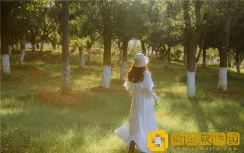 51制袜丝服视频二区