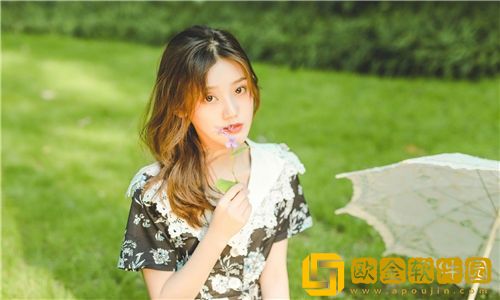 甸伊园2023免费入口直达