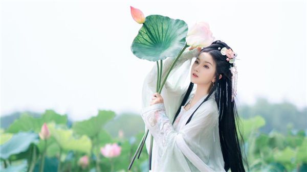 百合直播下载旧版本