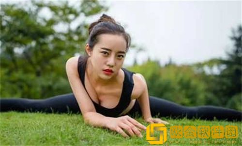 龙物视频y99933入口